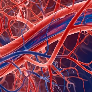 Mejora la circulación y reduce la rigidez